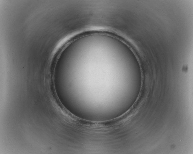 X0000091931319200709051232