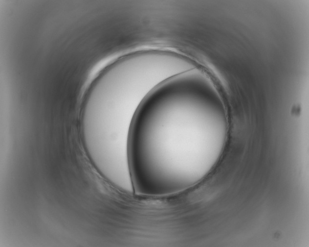 X0000091931320200709051232