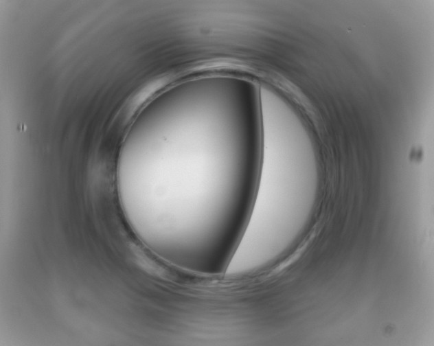 X0000091931321200709051232