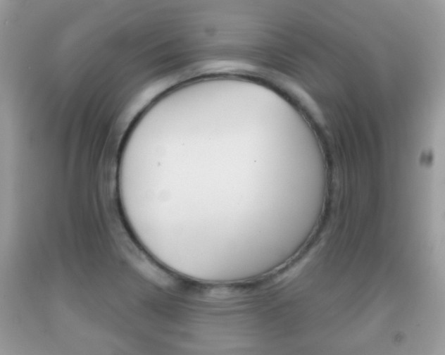 X0000091931322200709051232