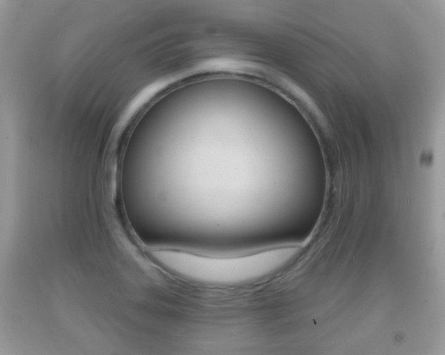 X0000091931323200709051232