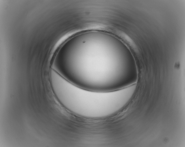 X0000091931324200709051232