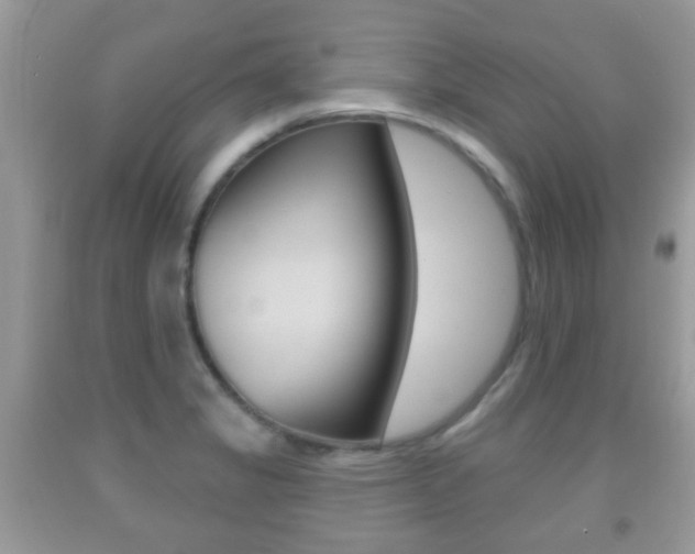 X0000091931325200709051233