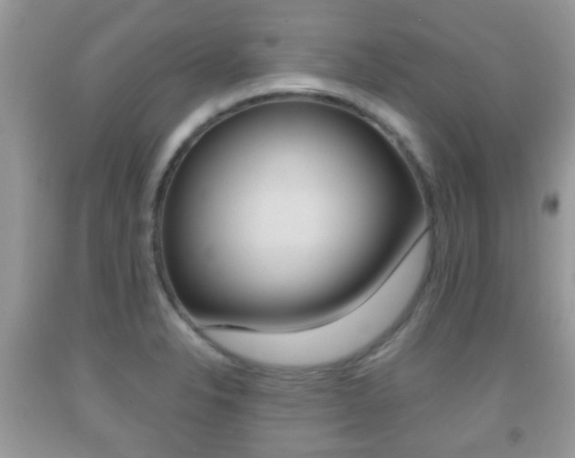 X0000091931326200709051233