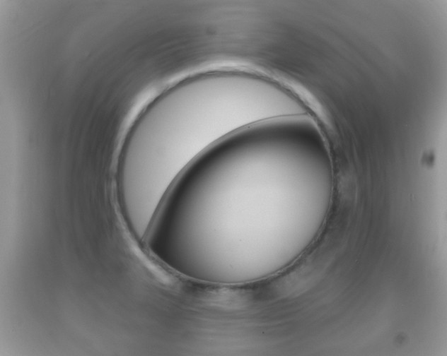 X0000091931327200709051233