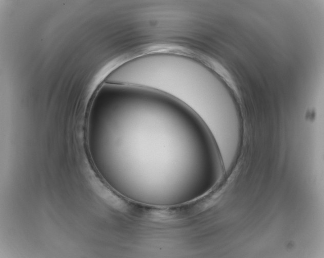 X0000091931330200709051233