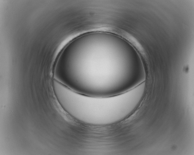 X0000091931332200709051233