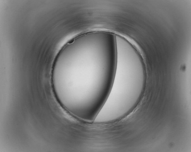 X0000091931333200709051233