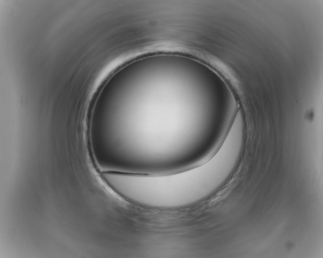 X0000091931334200709051233