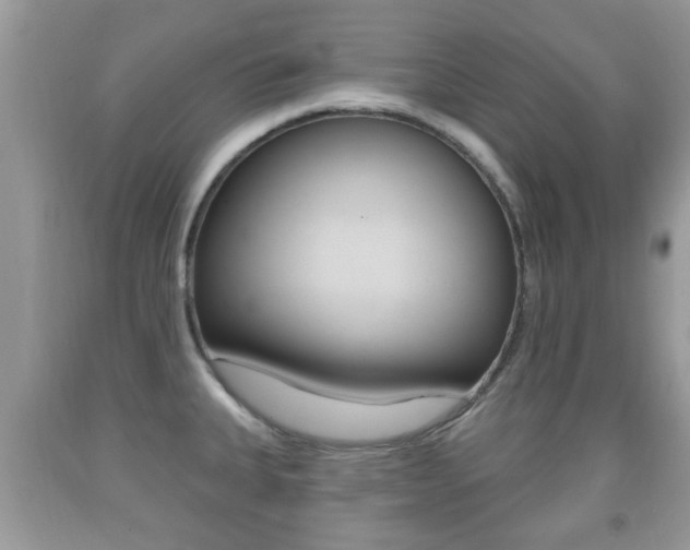 X0000091931335200709051233