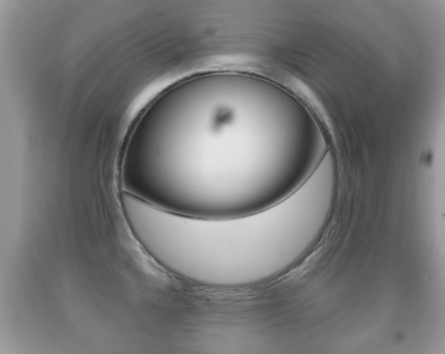 X0000091931336200709051233