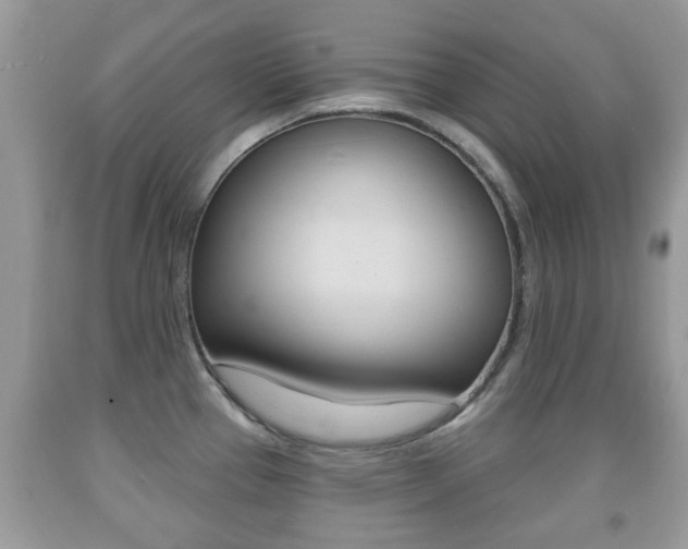 X0000091931337200709051233
