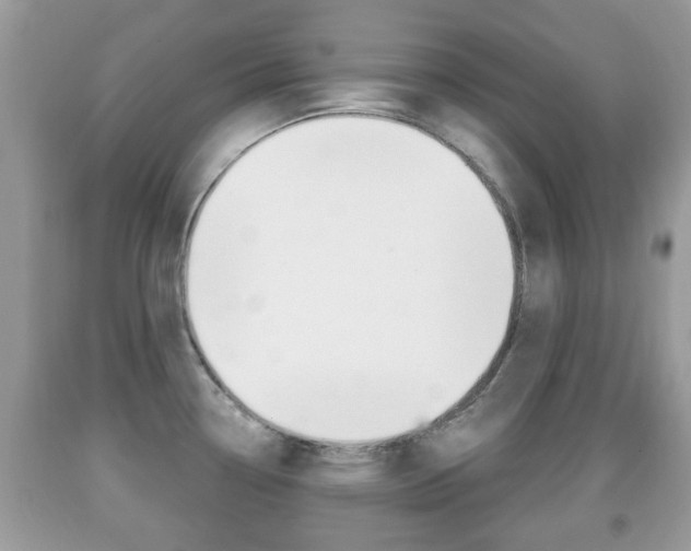 X0000091931338200709051233