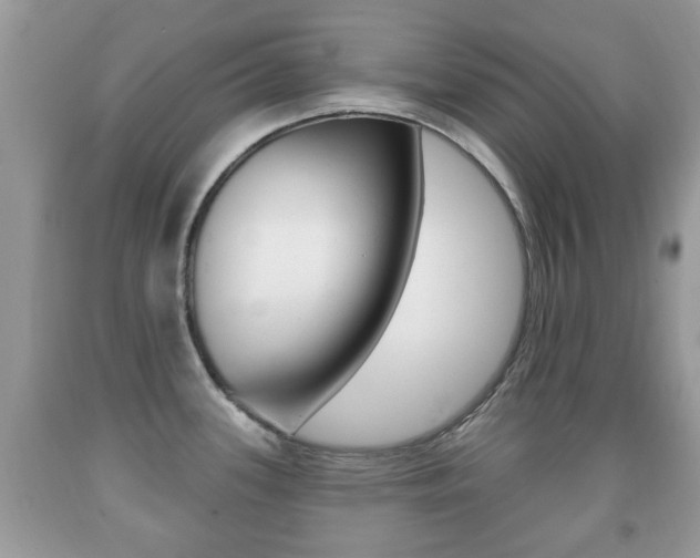 X0000091931339200709051233