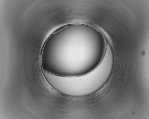 X0000091931340200709051233