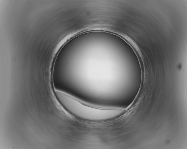 X0000091931341200709051233