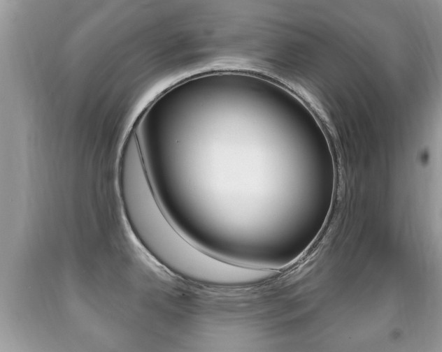 X0000091931342200709051233