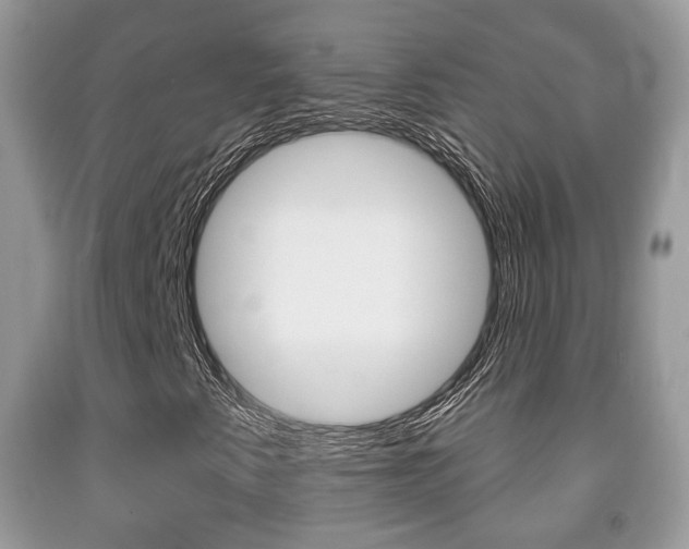 X0000091931345200709051232