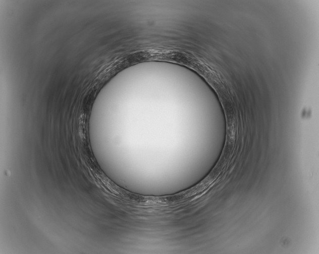 X0000091931346200709051232