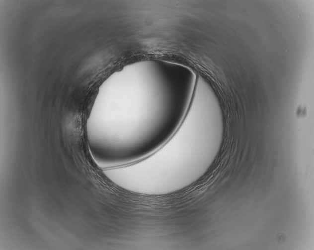 X0000091931347200709051232