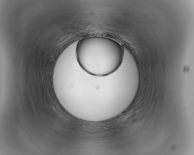 X0000091931348200709051232