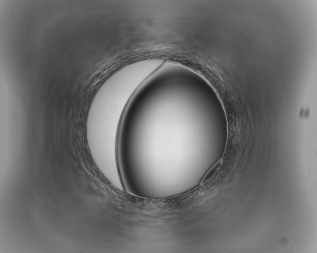 X0000091931349200709051232