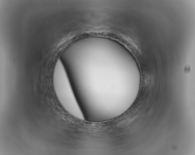 X0000091931350200709051232