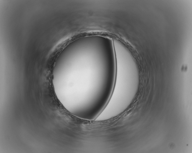 X0000091931351200709051232