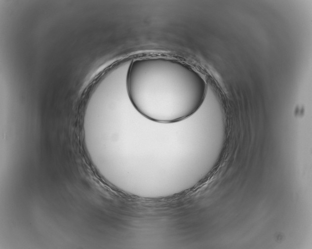 X0000091931352200709051232