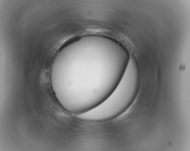 X0000091931353200709051232