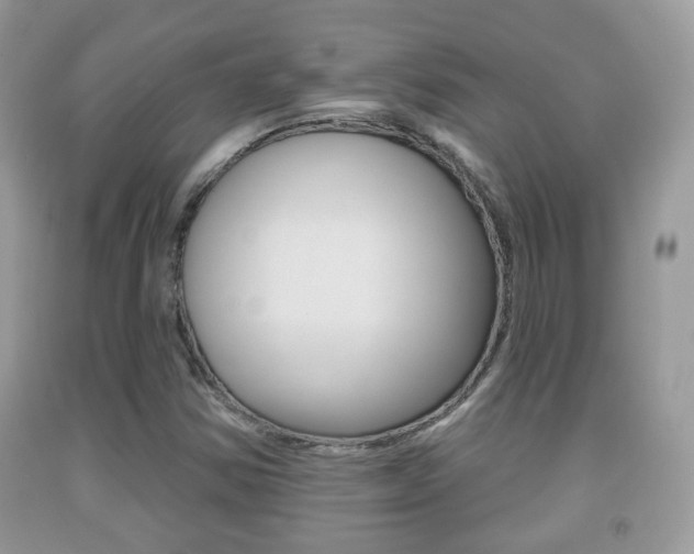 X0000091931354200709051232