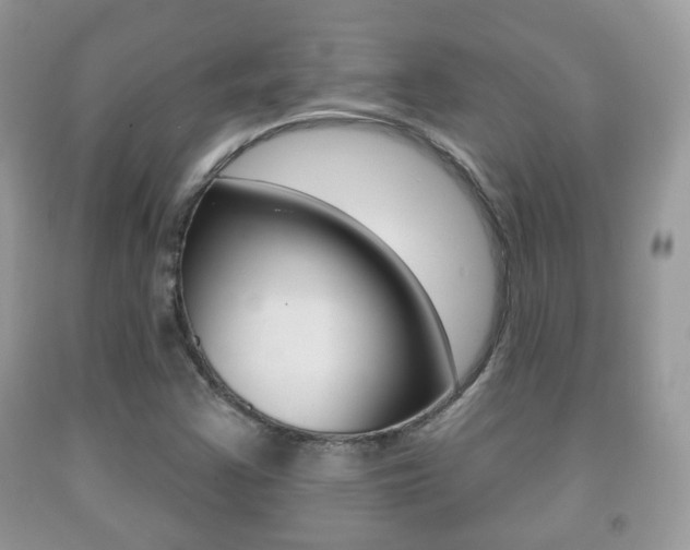X0000091931355200709051232