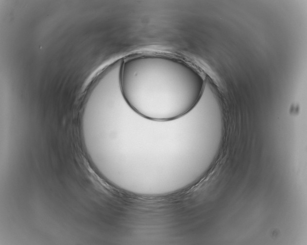 X0000091931356200709051232