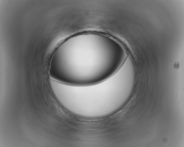 X0000091931359200709051232
