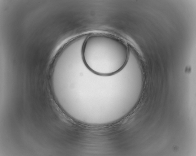 X0000091931360200709051232