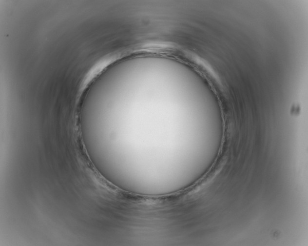 X0000091931362200709051232