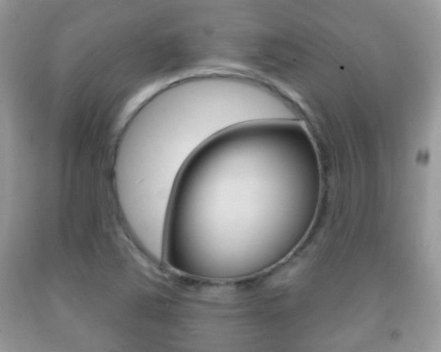 X0000091931363200709051232