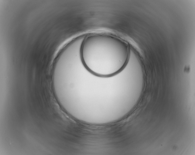 X0000091931364200709051232