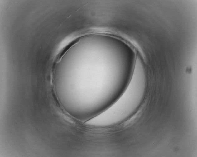 X0000091931365200709051232