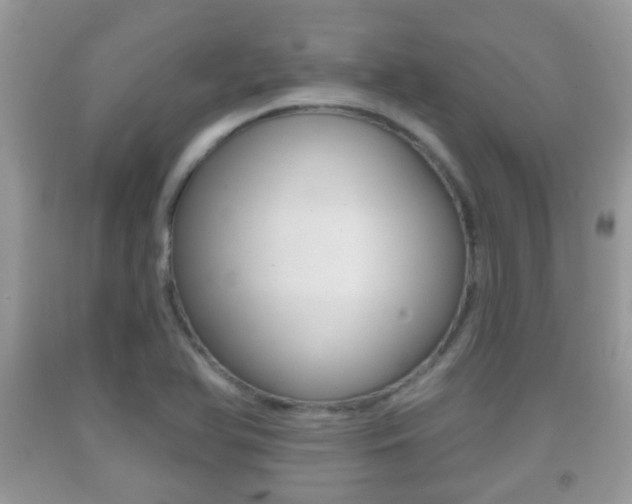 X0000091931366200709051232