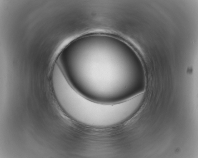 X0000091931367200709051232