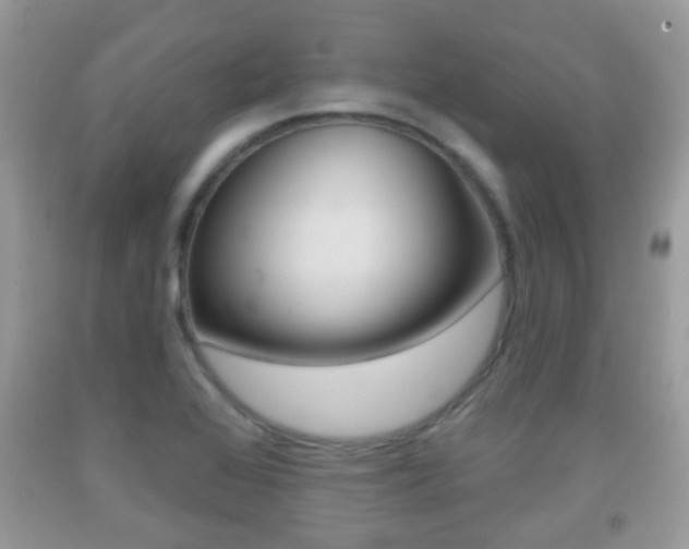 X0000091931368200709051232