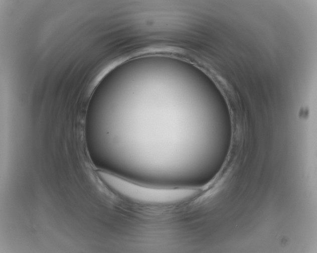 X0000091931369200709051232