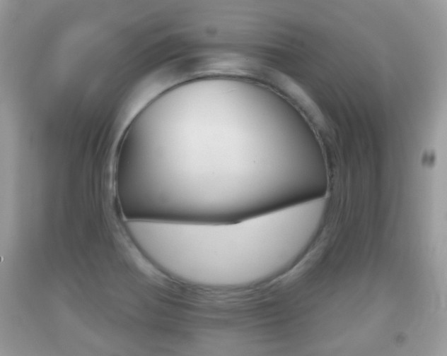 X0000091931370200709051232