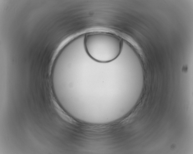X0000091931372200709051232