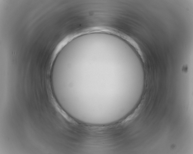 X0000091931373200709051232