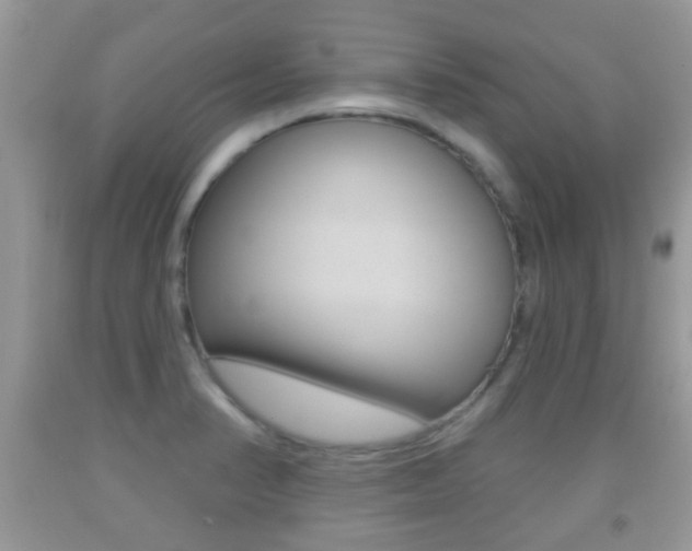 X0000091931374200709051232