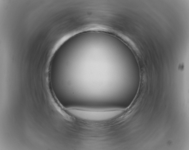 X0000091931375200709051232