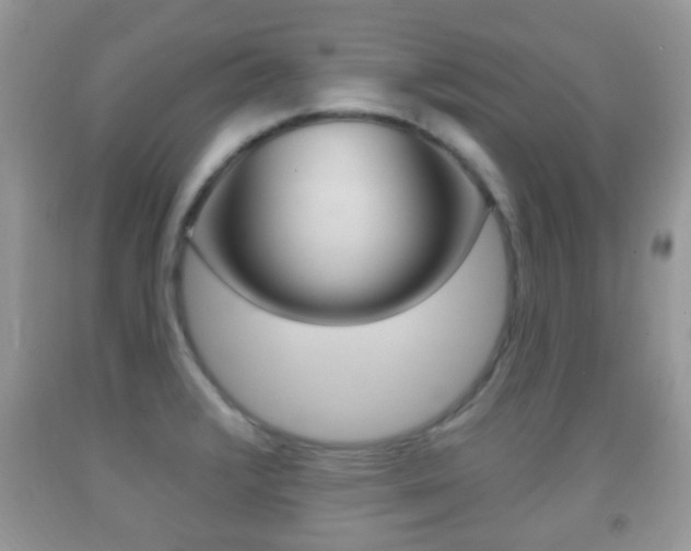 X0000091931376200709051232