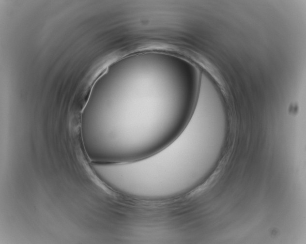 X0000091931377200709051232